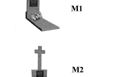 M1 M